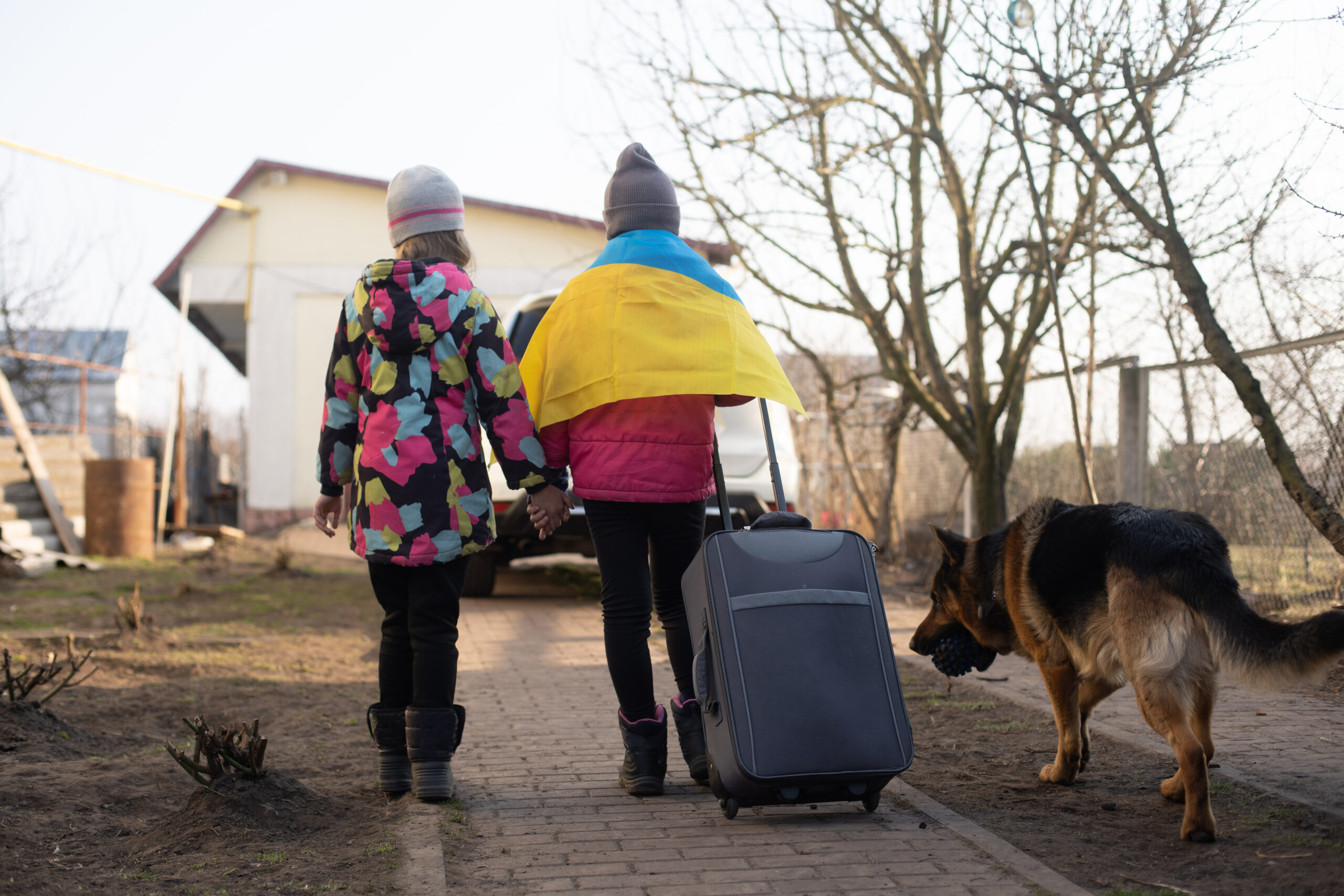 ICMP – Missing Ukrainians campaign